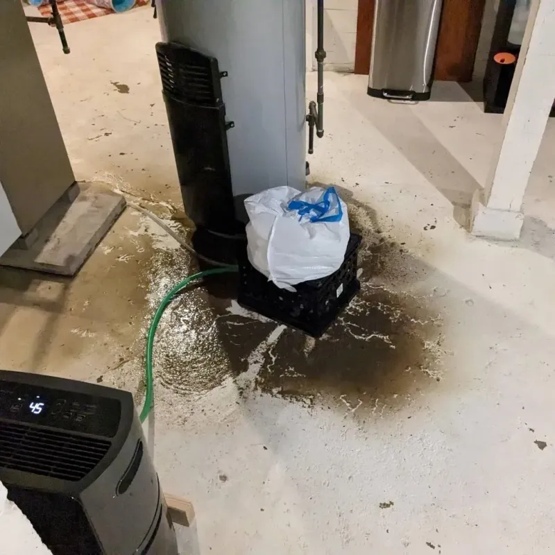 Sewage Backup Cleanup Service in Moreno Valley, CA